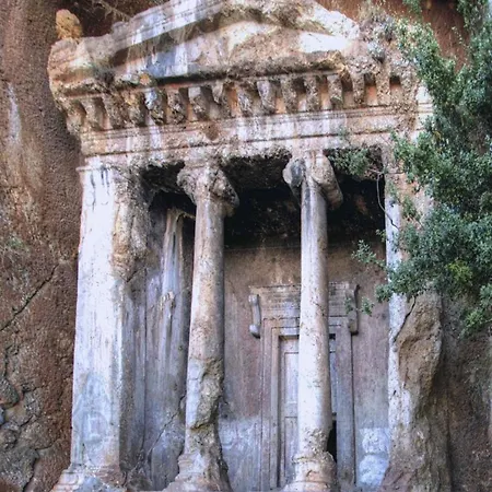 Uva Φετιγιέ