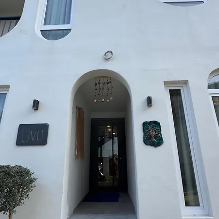 Uva Bed and Breakfast Φετιγιέ